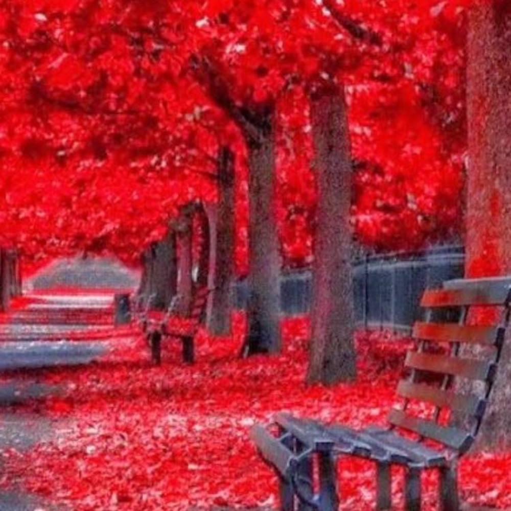 Meet your Posher, Michèle